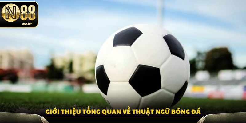 Tổng quan chi tiết về các thuật ngữ bóng đá